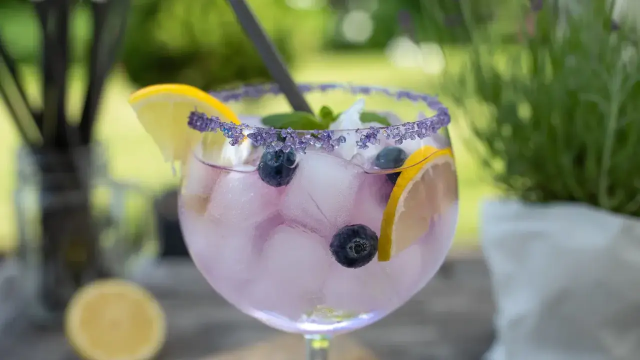 Erfrischender Gin-Cocktail mit Blaubeeren und Zitrone. Welches Tonic zu Tanqueray? Dieses hier mit Lavendelrand passt perfekt!