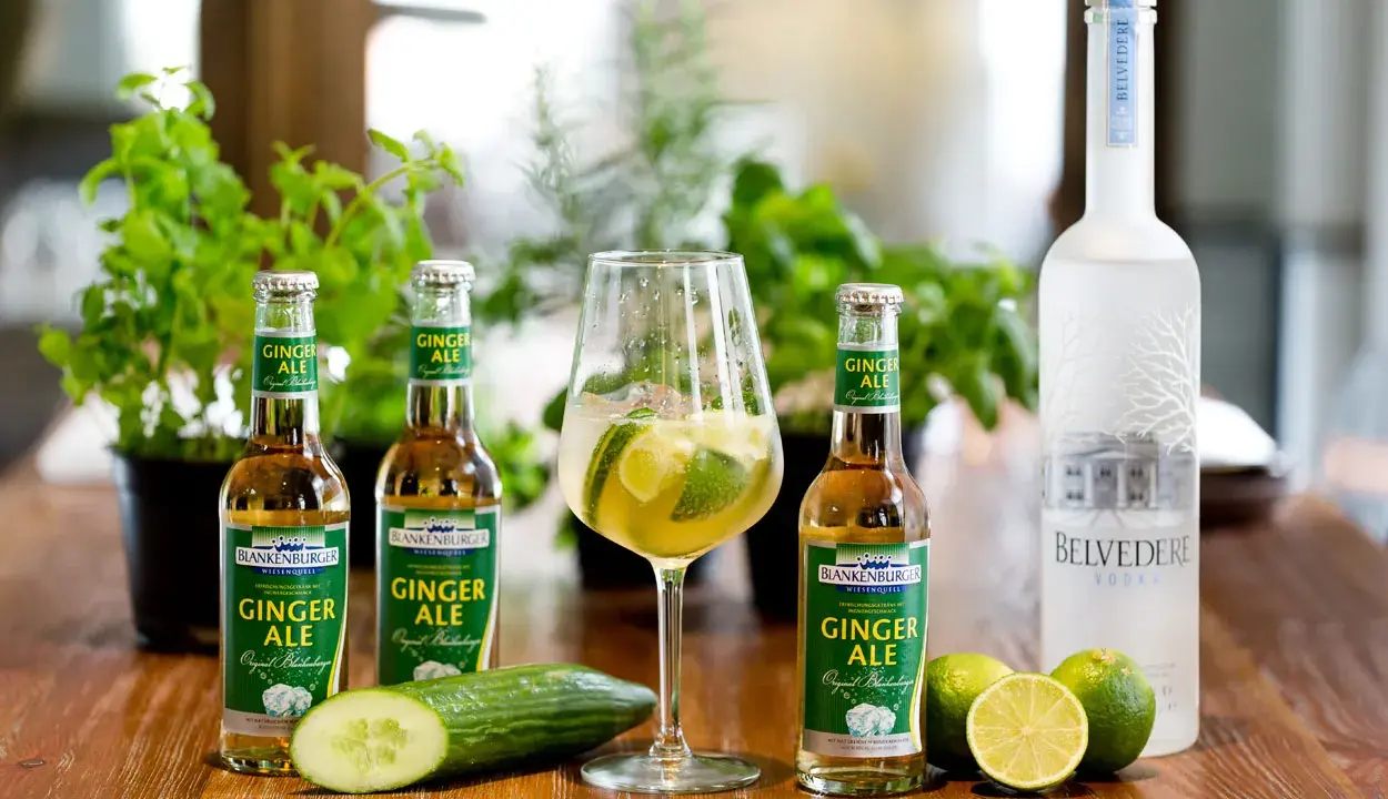 Erfrischender Ginger Beer mit Alkohol: Flaschen, ein Glas mit Limette und Eis, Gurke, Limetten und eine Flasche Belvedere Vodka.