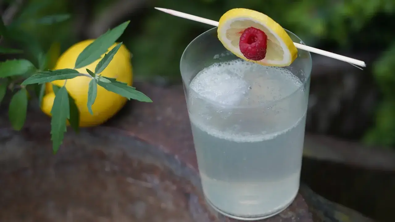 Erfrischender Drink mit Zitrone und Himbeere, serviert mit einem Hauch von old tom gin.