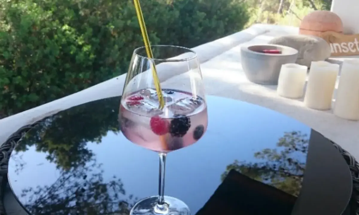 Ein erfrischender Gin Tonic mit Brockmans Gin und Beeren. Welches Tonic passt am besten?