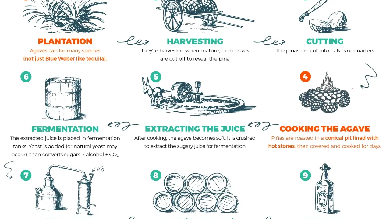Schritte der Mezcal Herstellung: Anbau, Ernte, Schneiden, Kochen, Zerkleinern, Gärung, Destillation, optional Reifung und Abfüllung.