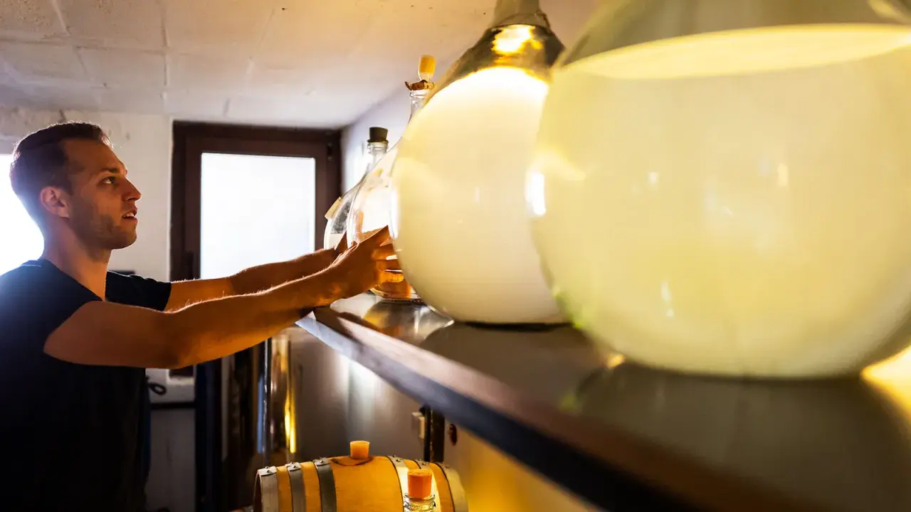 Mann prüft große Glasballons mit Flüssigkeit. Er achtet darauf, dass der Inhalt nicht schlecht wird, wie bei manchem Gin.