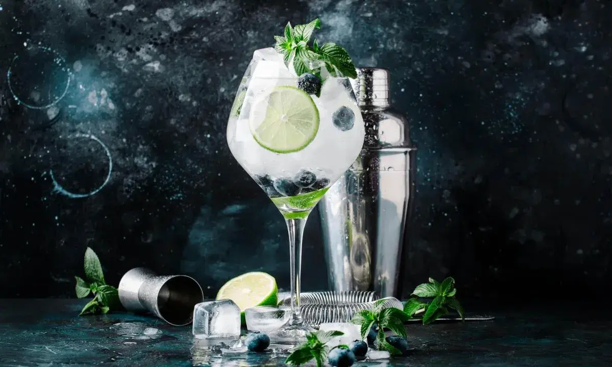 Ein erfrischender Gin Tonic mit Blaubeeren, Limette und Minze. Die perfekte Gin Definition für einen Sommerabend.