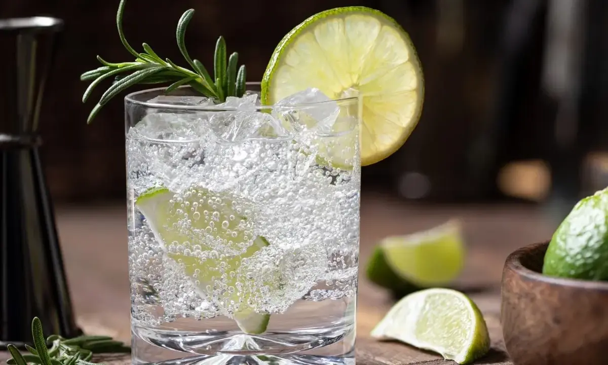 Erfrischender Gin Tonic mit Limette und Rosmarin. Ein fruchtig-herbes Rezept, das Lust auf mehr macht.