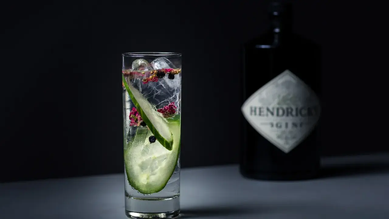 Ein erfrischender Gin-Cocktail mit Gurkenscheiben und Beeren. Die Botanicals machen den Geschmack aus.