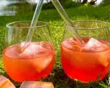 Zwei Gläser Aperol Tonic mit Eis und Orangenscheiben stehen im Gras.
