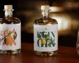 Zwei Flaschen "Rein Gin" mit Holzkorken stehen bereit zur **Gin Aufbewahrung**. Daneben ein Glas mit Eiswürfeln.