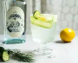 Erfrischender Gin Tonic mit Gurke und Zitrone, daneben eine Flasche Gin und frische Zutaten.