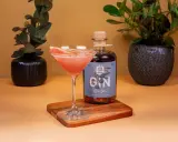 Ein Glas mit pinkfarbenem Gin-Cocktail, garniert mit Grapefruit, neben einer Flasche Sloe Gin. Dekorative Pflanzen im Hintergrund.