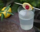 Erfrischender Drink mit Zitrone und Himbeere, serviert mit einem Hauch von old tom gin.