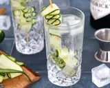 Erfrischendes Gin Tonic Rezept mit Gurke: Eisgekühlte Gläser, frische Gurkenscheiben und eine Flasche Gin.