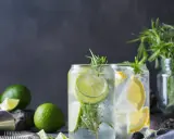 Erfrischende Drinks mit Limette und Zitrone. Kann Tonic Water schlecht werden? Ja, aber diese sehen noch frisch aus!