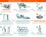 Schritte der Mezcal Herstellung: Anbau, Ernte, Schneiden, Kochen, Zerkleinern, Gärung, Destillation, optional Reifung und Abfüllung.
