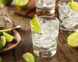 Erfrischender Gin Tonic mit Eis und Limette. Die fruchtige Säure der Limette passt perfekt zum Gin.