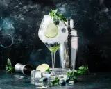 Ein erfrischender Gin Tonic mit Blaubeeren, Limette und Minze. Die perfekte Gin Definition für einen Sommerabend.
