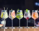 Fünf elegante Gläser mit erfrischenden Gin-Tonic-Kreationen, garniert mit Früchten und Kräutern. Entdecken Sie besondere Gin Sorten!