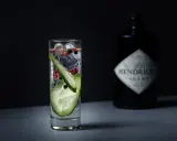 Ein erfrischender Gin-Cocktail mit Gurkenscheiben und Beeren. Die Botanicals machen den Geschmack aus.