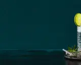Zwei erfrischende Gin Genever Cocktails mit Limette und Rosmarin, bereit zum Genuss.