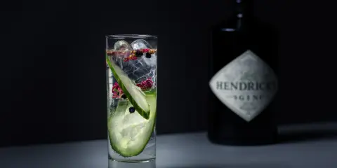 Ein erfrischender Gin-Cocktail mit Gurkenscheiben und Beeren. Die Botanicals machen den Geschmack aus.