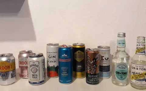 Eine Auswahl an Gin Tonic Dosen und Flaschen, bereit für einen entspannten Abend.