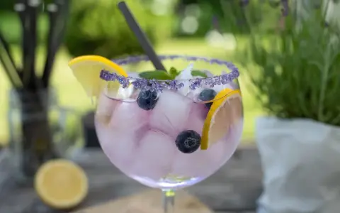 Erfrischender Gin-Cocktail mit Blaubeeren und Zitrone. Welches Tonic zu Tanqueray? Dieses hier mit Lavendelrand passt perfekt!
