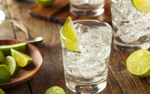 Erfrischender Gin Schnaps mit Eis und Limettenspalten auf rustikalem Holztisch.