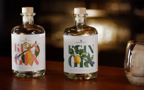 Zwei Flaschen "Rein Gin" mit Holzkorken stehen bereit zur **Gin Aufbewahrung**. Daneben ein Glas mit Eiswürfeln.