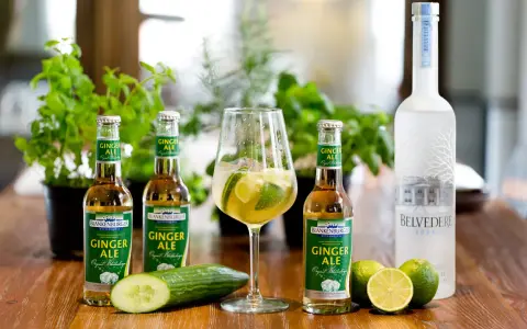 Erfrischender Ginger Beer mit Alkohol: Flaschen, ein Glas mit Limette und Eis, Gurke, Limetten und eine Flasche Belvedere Vodka.