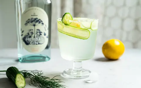 Erfrischender Gin Tonic mit Gurke und Zitrone, daneben eine Flasche Gin und frische Zutaten.