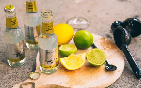 Flaschen mit "Classic Tonic Water", Zitronen- und Limettenspalten auf einem Holzbrett. Die Bedeutung von Gin & Tonic wird hier durch die Zutaten für einen perfekten Drink unterstrichen.