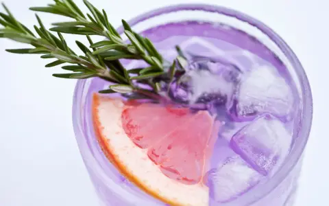 Erfrischender lila Drink mit Grapefruit und Rosmarin – eine köstliche Gin-Tonic-Alternative.