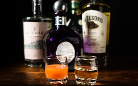 Zwei Gläser mit Tequila und einem orangen Getränk, bereit, um sangrita selber machen zu üben. Flaschen im Hintergrund.