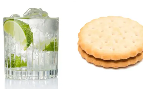 Erfrischender Gin Tonic mit Limette und Eis, daneben zwei Kekse. Denken Sie an die Gin Tonic Kalorien!