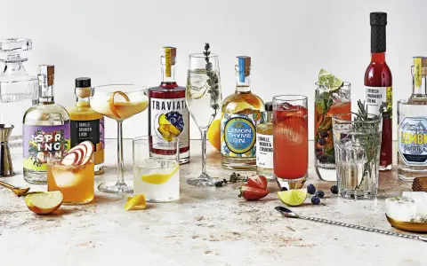 Vielfalt an Getränken und Zutaten für Cocktails, darunter Gin, Likör und Früchte. Perfekt für die Zubereitung eines erfrischenden Gin Tonic Garnitur.
