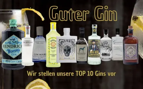 Eine Auswahl von zehn Flaschen Guter Gin, darunter Hendrick's Neptunia und Monkey 47, präsentiert die TOP 10 Gins.