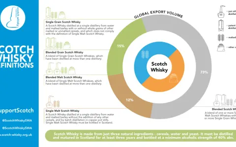 Infografik erklärt, was ist Scotch Whisky: Definitionen von Single Malt, Blended Malt, Single Grain und Blended Grain Scotch. Globale Exportvolumen-Aufschlüsselung.