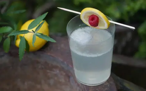 Erfrischender Drink mit Zitrone und Himbeere, serviert mit einem Hauch von old tom gin.