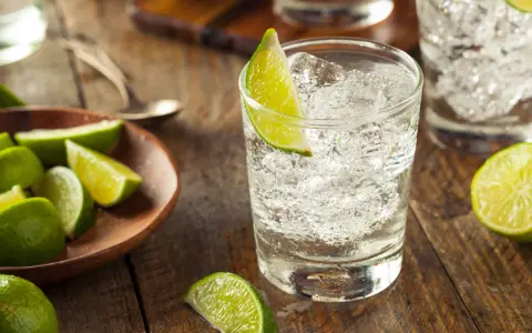 Erfrischender Gin pur trinken mit Eis und Limettenspalten. Frische Limetten liegen daneben.