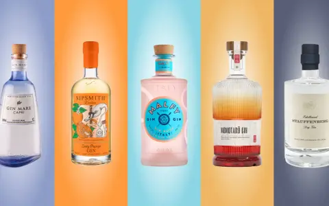 Fünf Flaschen Gin: Gin Mare, Sipsmith Zesty Orange, Malfy Gin Rosa, Momotaro Gin und Stauffenberg Dry Gin. Perfekt, um Gin mit Wasser zu mischen.