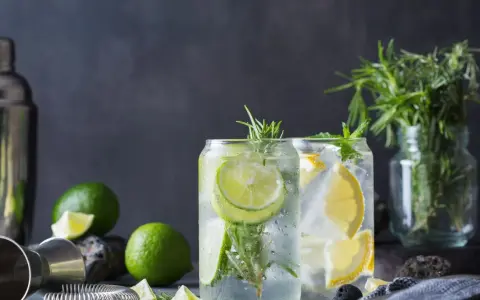 Erfrischende Drinks mit Limette und Zitrone. Kann Tonic Water schlecht werden? Ja, aber diese sehen noch frisch aus!