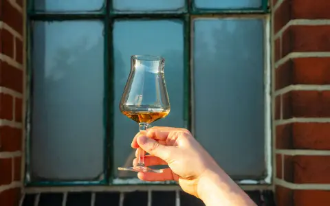 Hand hält ein Glas bernsteinfarbenen Whiskys vor einem Fenster. Der Alkoholgehalt variiert, aber oft liegt er bei 40 Prozent.