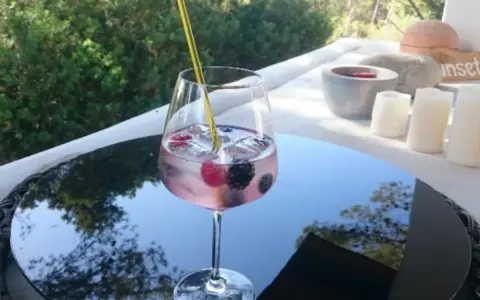 Ein erfrischender Gin Tonic mit Brockmans Gin und Beeren. Welches Tonic passt am besten?