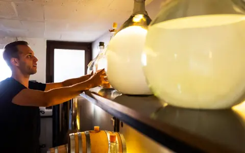 Mann prüft große Glasballons mit Flüssigkeit. Er achtet darauf, dass der Inhalt nicht schlecht wird, wie bei manchem Gin.