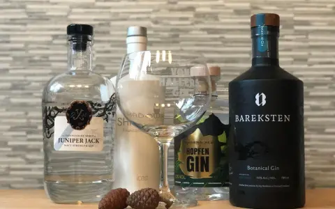 Gin-Flaschen, ein Glas und Zapfen. Der **Wacholder Geschmack** ist bei diesen Gins zentral.