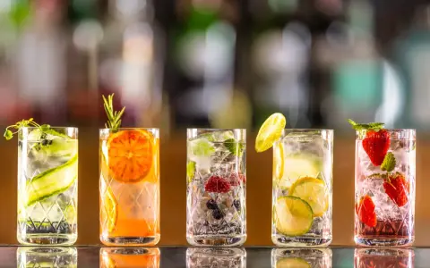 Fünf erfrischende Drinks mit Früchten und Kräutern. Einer davon könnte Chinin enthalten, wie in Tonic Water, wo ist Chinin drin?