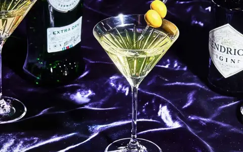 Ein Martini mit Oliven, daneben Martini Extra Dry und Hendrick's Gin. Verschiedene Martini Sorten für den perfekten Drink.