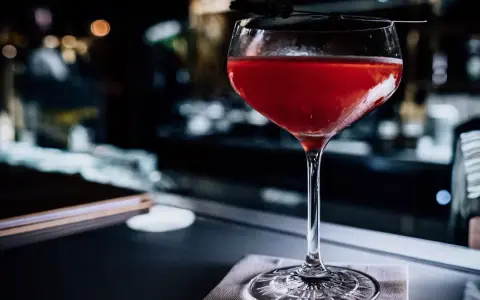 Ein roter Sloe Gin Tonic in einem eleganten Glas, garniert mit einer dunklen Zweigspitze, steht auf einem Tisch.