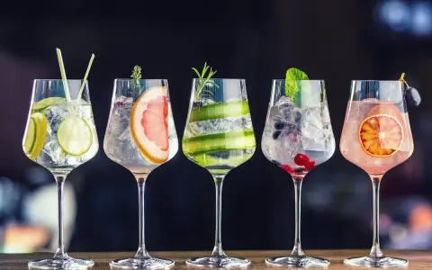 Fünf elegante Gläser mit erfrischenden Gin-Tonic-Kreationen, garniert mit Früchten und Kräutern. Entdecken Sie besondere Gin Sorten!