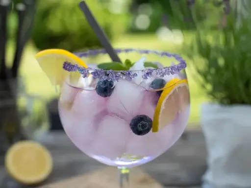 Erfrischender Gin-Cocktail mit Blaubeeren und Zitrone. Welches Tonic zu Tanqueray? Dieses hier mit Lavendelrand passt perfekt!