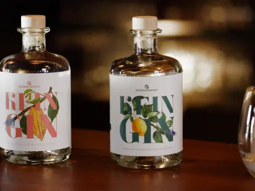 Zwei Flaschen "Rein Gin" mit Holzkorken stehen bereit zur **Gin Aufbewahrung**. Daneben ein Glas mit Eiswürfeln.